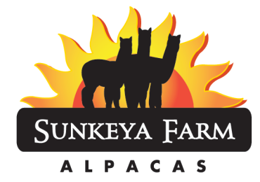 Sunkeya Farm Alpacas